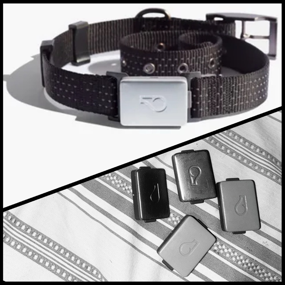 Whistle Switch Smart Collar Kit GPS Waterproof GPS Pet Tracker 4 Batteries
